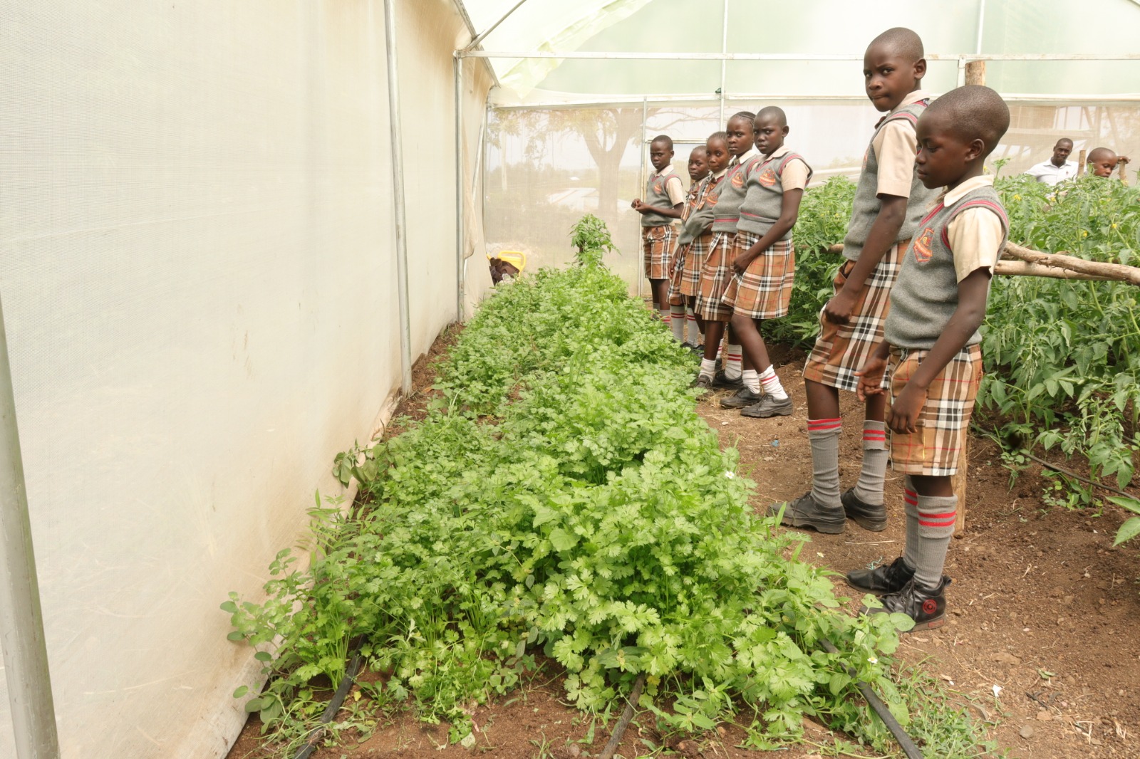 WhatsApp Image 2025-06-09 at 11.03.10_f9208611