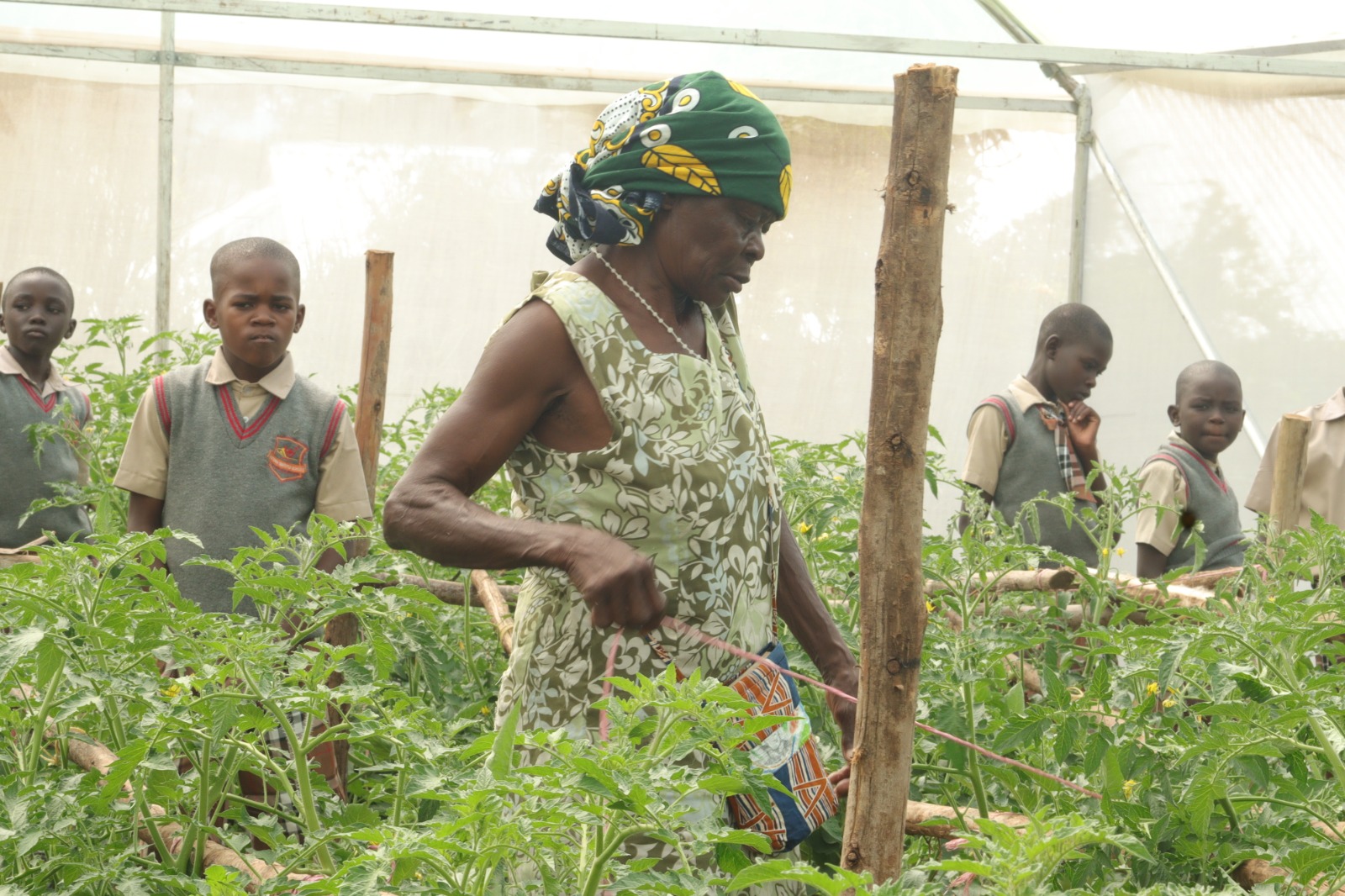 WhatsApp Image 2025-06-09 at 11.03.18_b58af52a