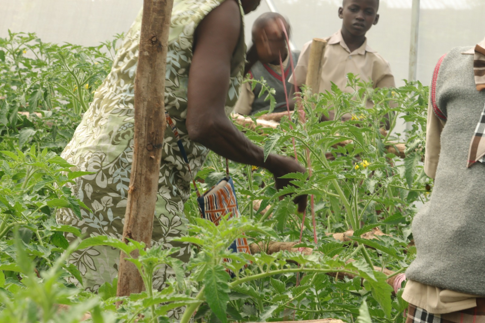 WhatsApp Image 2025-06-09 at 11.03.18_e57b2116