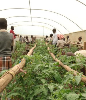 WhatsApp Image 2025-06-09 at 11.03.10_20d88038