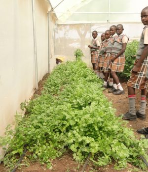 WhatsApp Image 2025-06-09 at 11.03.10_f9208611