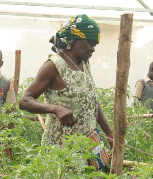 WhatsApp Image 2025-06-09 at 11.03.18_b58af52a