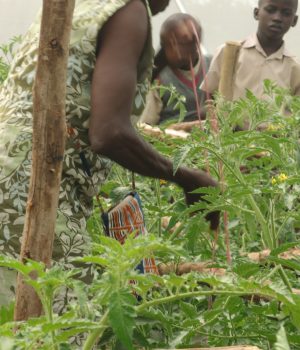 WhatsApp Image 2025-06-09 at 11.03.18_e57b2116