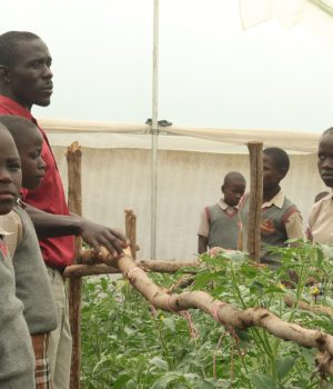 WhatsApp Image 2025-06-09 at 11.03.20_902df211